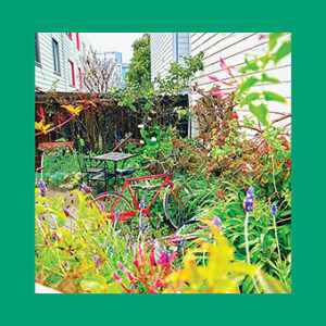 Lire la suite à propos de l’article The Reds, Pinks And Purples