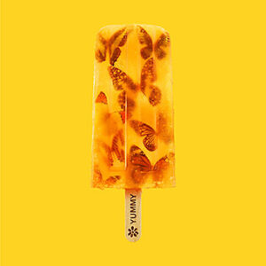 Lire la suite à propos de l’article James