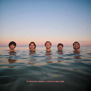 Lire la suite à propos de l’article Delights