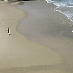 Lire la suite à propos de l’article The Autumn Defense